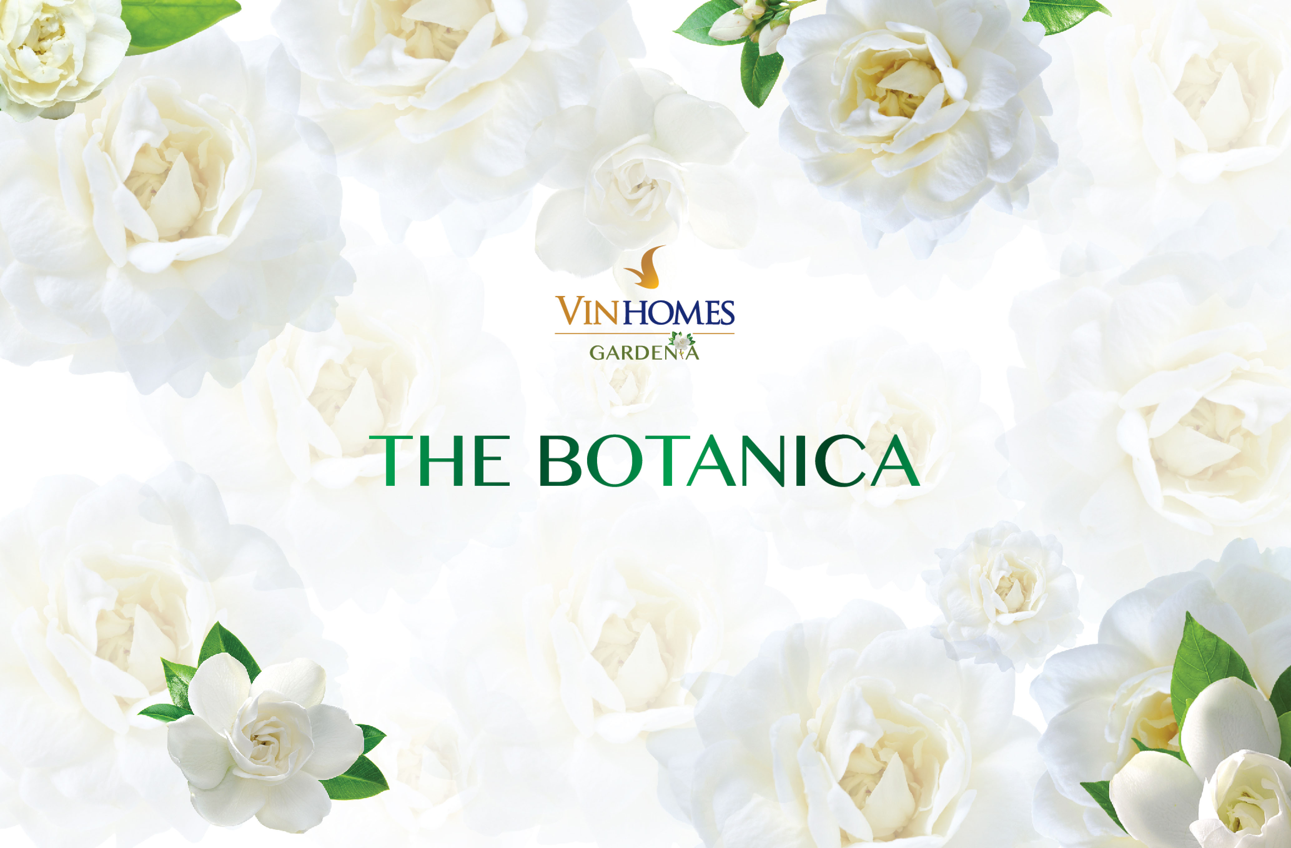 Mặt bằng Biệt thự Botanica