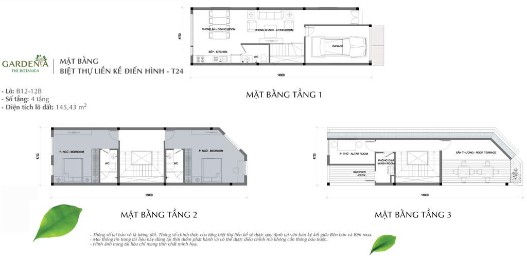 MẶT BẰNG BIỆT THỰ LIỀN KỀ ĐIỂN HÌNH - T24